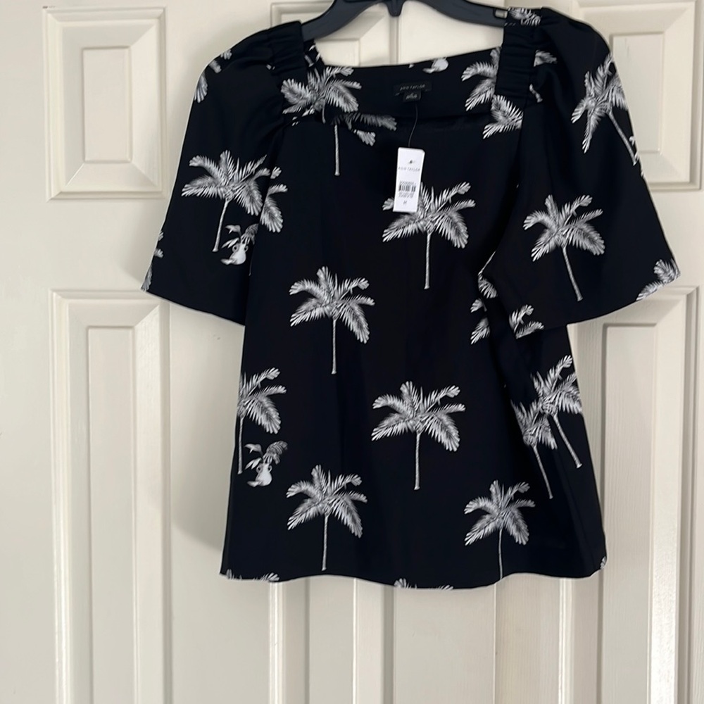 Anna Taylor top
